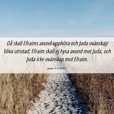 Picture 06 - Jesaja 11:13 SV1917 - Då skall Efraims avund upphöra och Juda - Bible Verse Picture