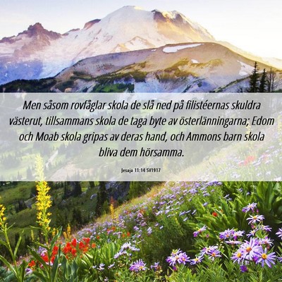 Picture 06 - Jesaja 11:14 SV1917 - Men såsom rovfåglar skola de slå ned på - Bible Verse Picture