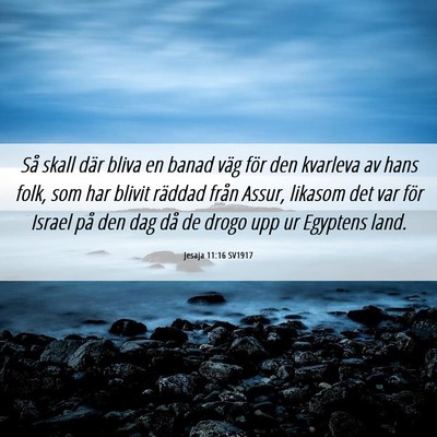 Picture 06 - Jesaja 11:16 SV1917 - Så skall där bliva en banad väg för den - Bible Verse Picture