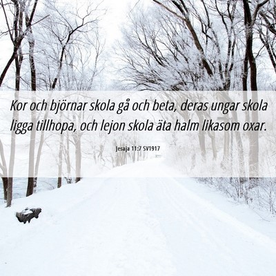 Picture 06 - Jesaja 11:7 SV1917 - Kor och björnar skola gå och beta, deras ungar - Bible Verse Picture