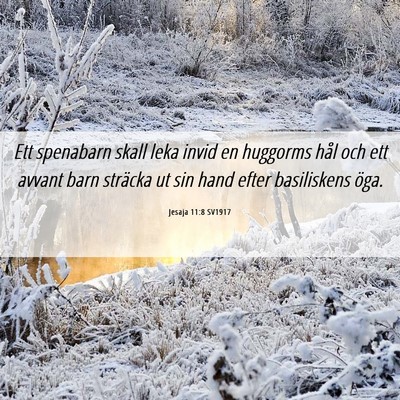 Picture 06 - Jesaja 11:8 SV1917 - Ett spenabarn skall leka invid en huggorms hål - Bible Verse Picture