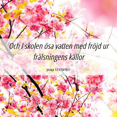 Picture 06 - Jesaja 12:3 SV1917 - Och I skolen ösa vatten med fröjd ur - Bible Verse Picture