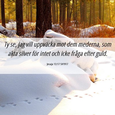 Picture 06 - Jesaja 13:17 SV1917 - Ty se, jag vill uppväcka mot dem mederna, som - Bible Verse Picture