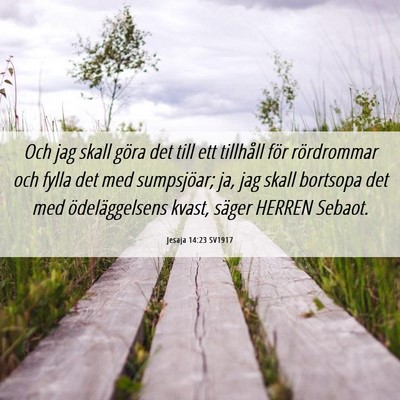 Picture 06 - Jesaja 14:23 SV1917 - Och jag skall göra det till ett tillhåll för - Bible Verse Picture