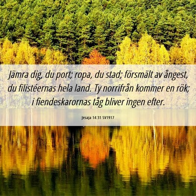 Picture 06 - Jesaja 14:31 SV1917 - Jämra dig, du port; ropa, du stad; försmält av - Bible Verse Picture