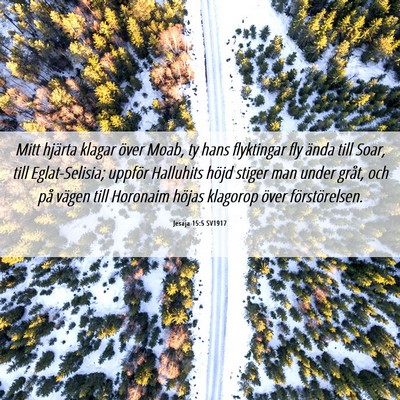 Picture 06 - Jesaja 15:5 SV1917 - Mitt hjärta klagar över Moab, ty hans - Bible Verse Picture