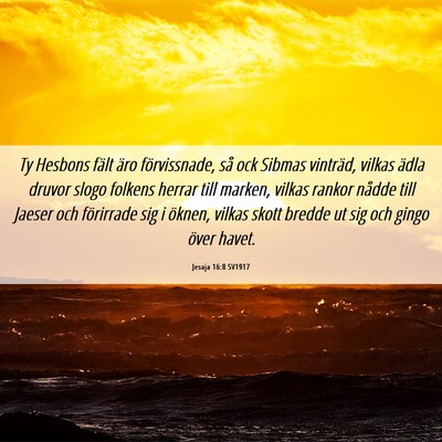 Picture 06 - Jesaja 16:8 SV1917 - Ty Hesbons fält äro förvissnade, så ock - Bible Verse Picture