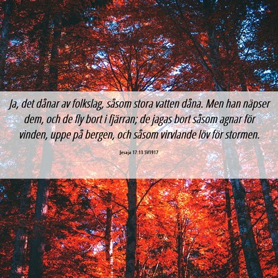 Picture 06 - Jesaja 17:13 SV1917 - Ja, det dånar av folkslag, såsom stora vatten - Bible Verse Picture