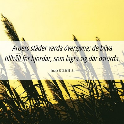 Picture 06 - Jesaja 17:2 SV1917 - Aroers städer varda övergivna; de bliva - Bible Verse Picture