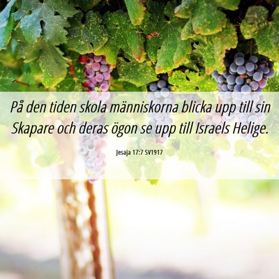 Picture 06 - Jesaja 17:7 SV1917 - På den tiden skola människorna blicka upp till - Bible Verse Picture