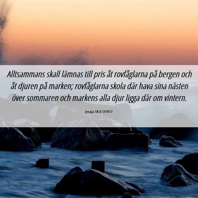 Picture 06 - Jesaja 18:6 SV1917 - Alltsammans skall lämnas till pris åt - Bible Verse Picture