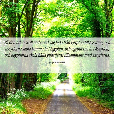 Picture 06 - Jesaja 19:23 SV1917 - På den tiden skall en banad väg leda från - Bible Verse Picture