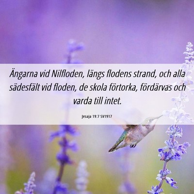 Picture 06 - Jesaja 19:7 SV1917 - Ängarna vid Nilfloden, längs flodens strand, - Bible Verse Picture