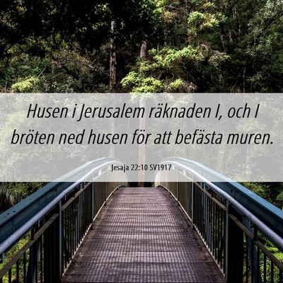 Picture 06 - Jesaja 22:10 SV1917 - Husen i Jerusalem räknaden I, och I bröten ned - Bible Verse Picture