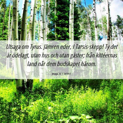 Picture 06 - Jesaja 23:1 SV1917 - Utsaga om Tyrus. Jämren eder, I Tarsis-skepp! Ty - Bible Verse Picture