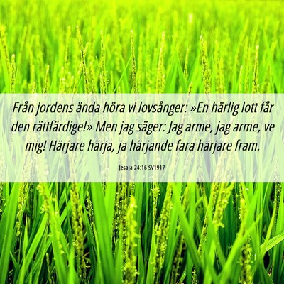 Picture 06 - Jesaja 24:16 SV1917 - Från jordens ända höra vi lovsånger: »En - Bible Verse Picture