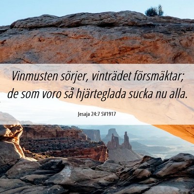 Picture 06 - Jesaja 24:7 SV1917 - Vinmusten sörjer, vinträdet försmäktar; de - Bible Verse Picture