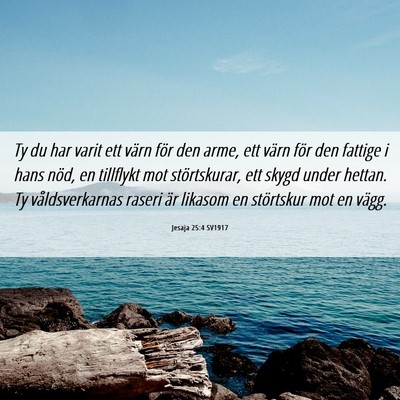 Picture 06 - Jesaja 25:4 SV1917 - Ty du har varit ett värn för den arme, ett - Bible Verse Picture