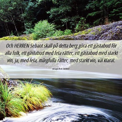 Picture 06 - Jesaja 25:6 SV1917 - Och HERREN Sebaot skall på detta berg göra ett - Bible Verse Picture
