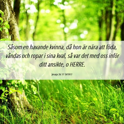 Picture 06 - Jesaja 26:17 SV1917 - Såsom en havande kvinna, då hon är nära att - Bible Verse Picture