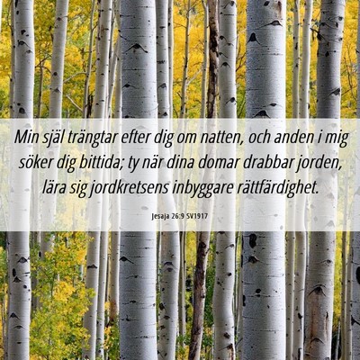 Picture 06 - Jesaja 26:9 SV1917 - Min själ trängtar efter dig om natten, och - Bible Verse Picture