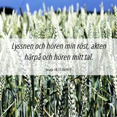 Picture 06 - Jesaja 28:23 SV1917 - Lyssnen och hören min röst, akten härpå och - Bible Verse Picture