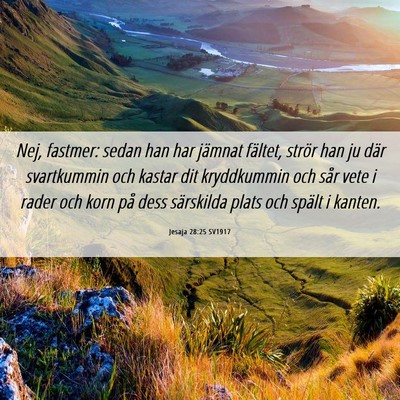 Picture 06 - Jesaja 28:25 SV1917 - Nej, fastmer: sedan han har jämnat fältet, - Bible Verse Picture