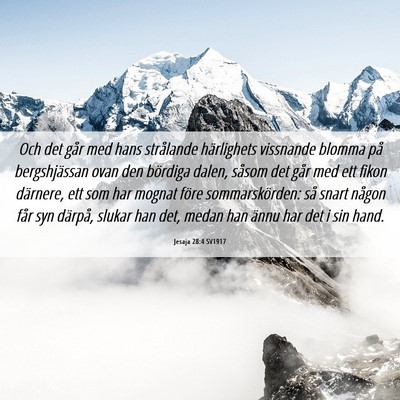Picture 06 - Jesaja 28:4 SV1917 - Och det går med hans strålande härlighets - Bible Verse Picture