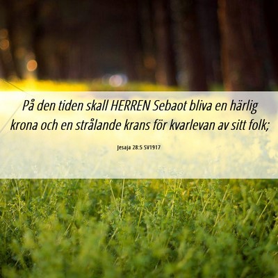 Picture 06 - Jesaja 28:5 SV1917 - På den tiden skall HERREN Sebaot bliva en - Bible Verse Picture