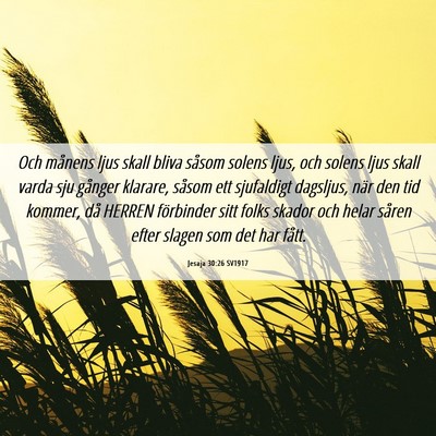 Picture 06 - Jesaja 30:26 SV1917 - Och månens ljus skall bliva såsom solens ljus, - Bible Verse Picture