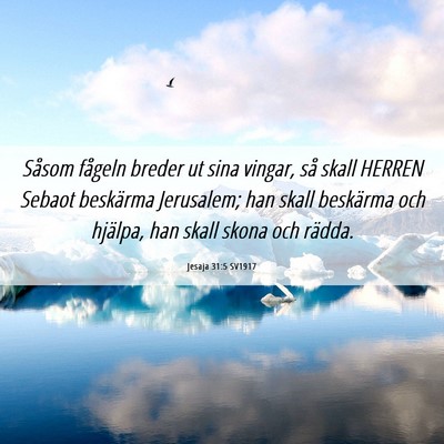 Picture 06 - Jesaja 31:5 SV1917 - Såsom fågeln breder ut sina vingar, så skall - Bible Verse Picture