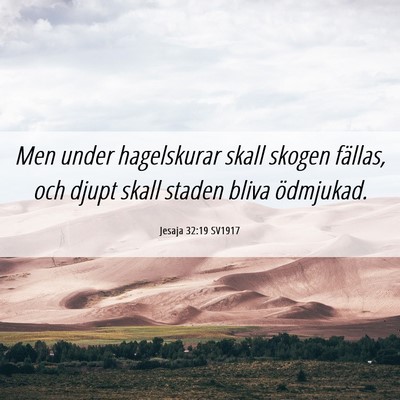 Picture 06 - Jesaja 32:19 SV1917 - Men under hagelskurar skall skogen fällas, och - Bible Verse Picture