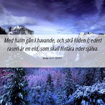 Picture 06 - Jesaja 33:11 SV1917 - Med halm gån I havande, och strå föden I; - Bible Verse Picture