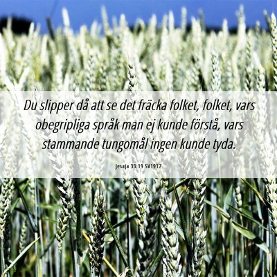 Picture 06 - Jesaja 33:19 SV1917 - Du slipper då att se det fräcka folket, folket, - Bible Verse Picture