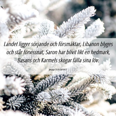 Picture 06 - Jesaja 33:9 SV1917 - Landet ligger sörjande och försmäktar, Libanon - Bible Verse Picture