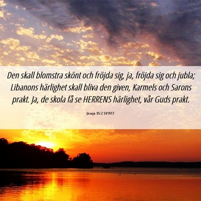 Picture 06 - Jesaja 35:2 SV1917 - Den skall blomstra skönt och fröjda sig, ja, - Bible Verse Picture