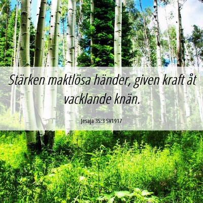 Picture 06 - Jesaja 35:3 SV1917 - Stärken maktlösa händer, given kraft åt - Bible Verse Picture