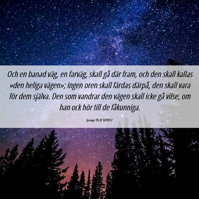 Picture 06 - Jesaja 35:8 SV1917 - Och en banad väg, en farväg, skall gå där - Bible Verse Picture