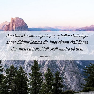 Picture 06 - Jesaja 35:9 SV1917 - Där skall icke vara något lejon, ej heller - Bible Verse Picture