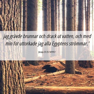 Picture 06 - Jesaja 37:25 SV1917 - jag grävde brunnar och drack ut vatten, och med - Bible Verse Picture