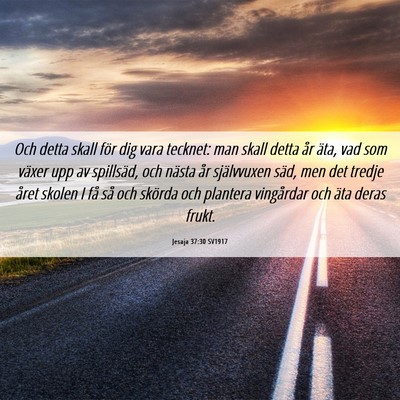 Picture 06 - Jesaja 37:30 SV1917 - Och detta skall för dig vara tecknet: man skall - Bible Verse Picture