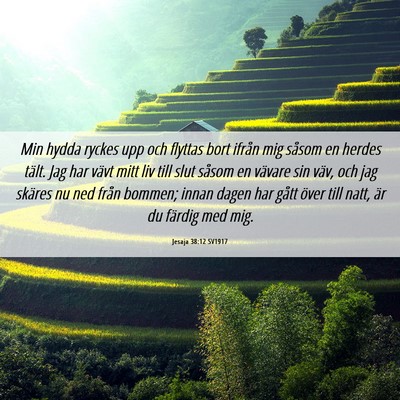 Picture 06 - Jesaja 38:12 SV1917 - Min hydda ryckes upp och flyttas bort ifrån mig - Bible Verse Picture