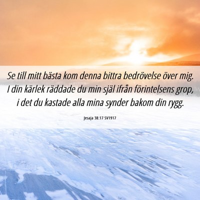 Picture 06 - Jesaja 38:17 SV1917 - Se till mitt bästa kom denna bittra bedrövelse - Bible Verse Picture