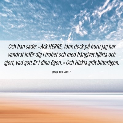 Picture 06 - Jesaja 38:3 SV1917 - Och han sade: »Ack HERRE, tänk dock på huru - Bible Verse Picture