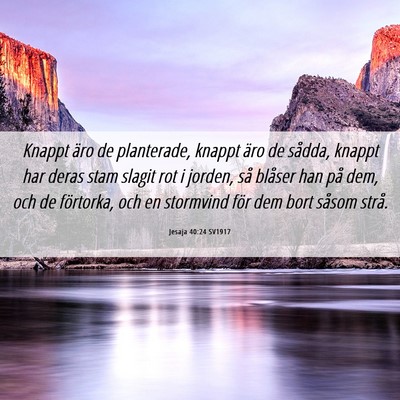 Picture 06 - Jesaja 40:24 SV1917 - Knappt äro de planterade, knappt äro de sådda, - Bible Verse Picture