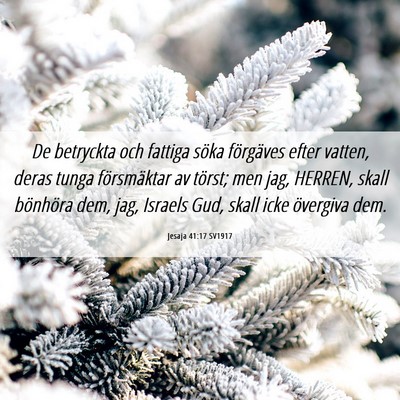 Picture 06 - Jesaja 41:17 SV1917 - De betryckta och fattiga söka förgäves efter - Bible Verse Picture