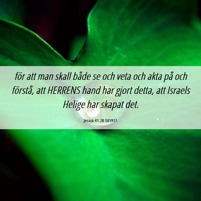 Picture 06 - Jesaja 41:20 SV1917 - för att man skall både se och veta och akta på - Bible Verse Picture