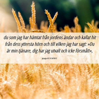 Picture 06 - Jesaja 41:9 SV1917 - du som jag har hämtat från jordens ändar och - Bible Verse Picture