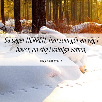 Picture 06 - Jesaja 43:16 SV1917 - Så säger HERREN, han som gör en väg i havet, - Bible Verse Picture