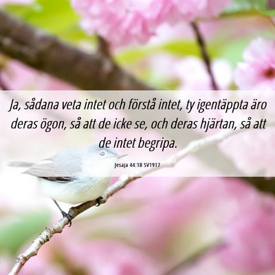 Picture 06 - Jesaja 44:18 SV1917 - Ja, sådana veta intet och förstå intet, ty - Bible Verse Picture